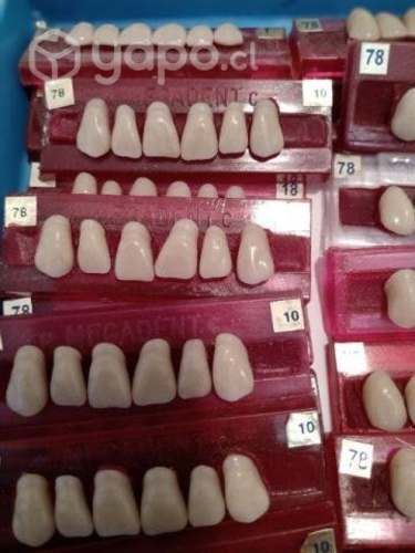 Dientes acrilicos