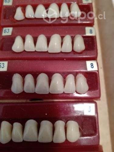 Dientes acrilicos