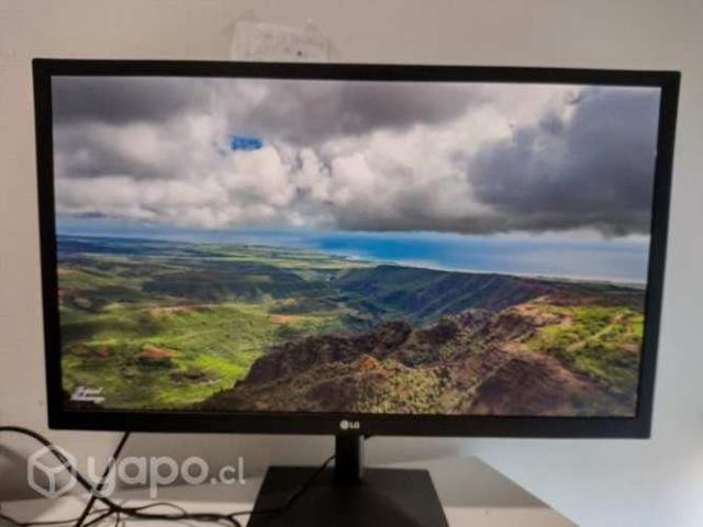 Liquido Monitor TV LG 24&quot;