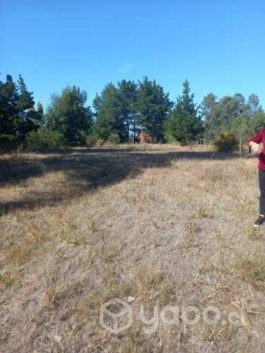 Vendo terreno a 10 min de saltos del laja