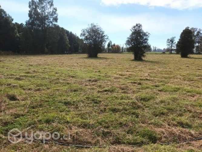 Parcela en osorno, ruta 215