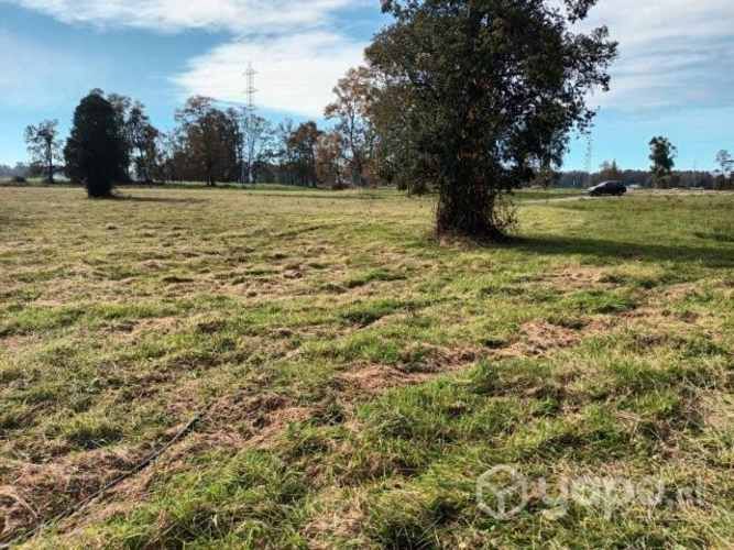 Parcela en osorno, ruta 215