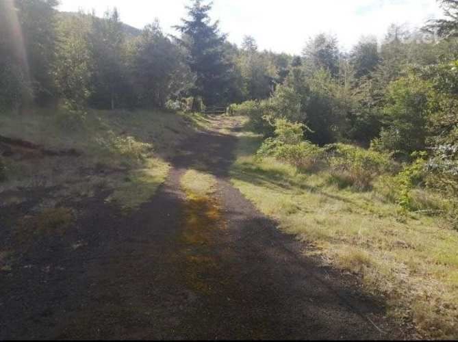 Parcela en papal con vertiente