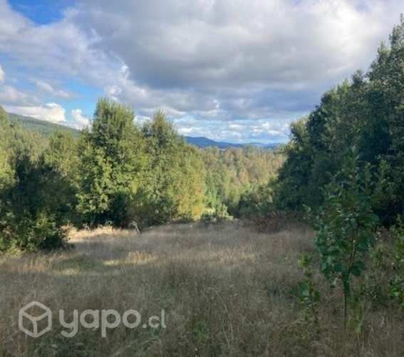 5 ha. Sector el Trébol región de los Ríos