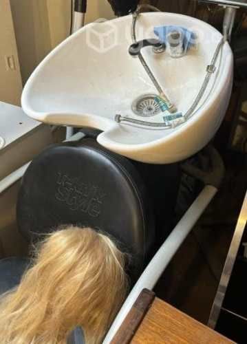 Lavapelos Profesional