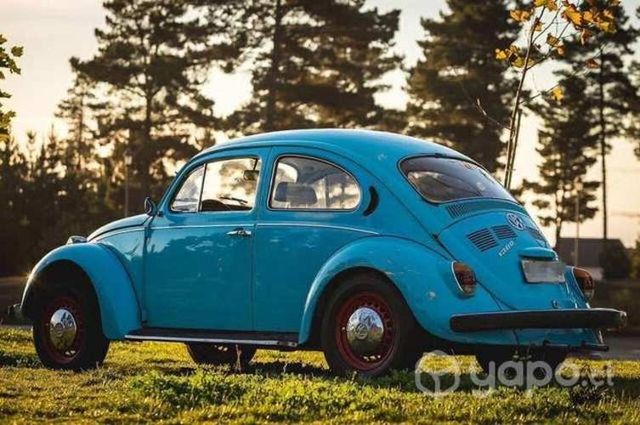 Volkswagen Escarabajo (modelo
