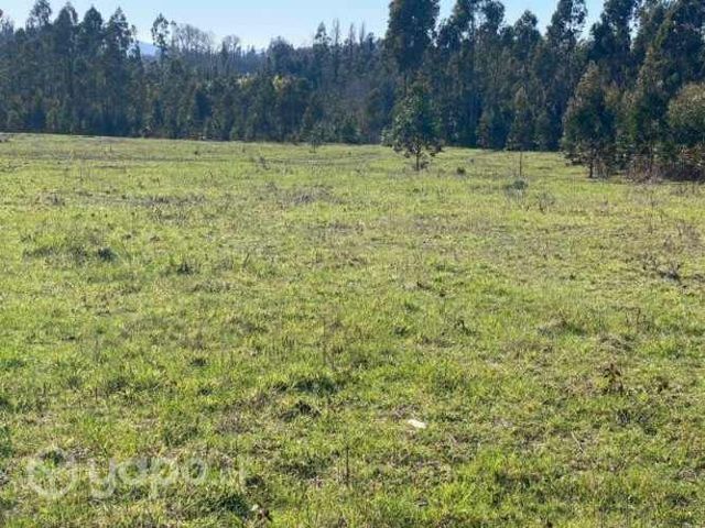 Altos de Millahuin en las cercanías de Villarric