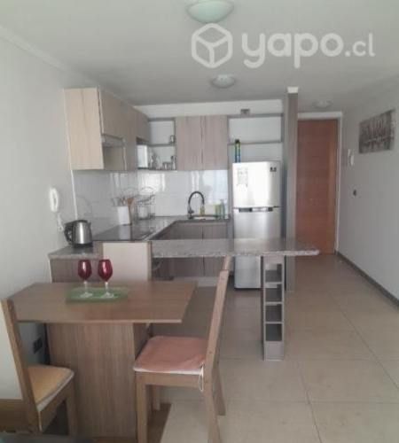 Corredora arrienda departamento año corrido.