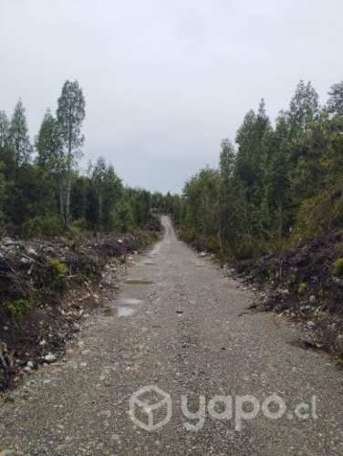 Vendo parcela piedra azul
