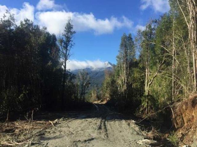 Parcela 7 mil m2 Correntoso Zargazo