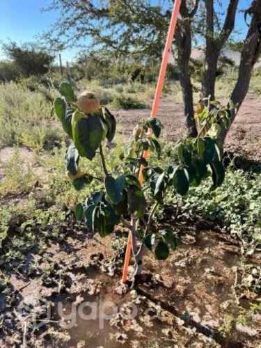 Se vende parcela Valle Fertil