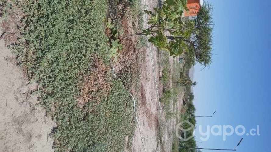 Se vende parcela Valle Fertil