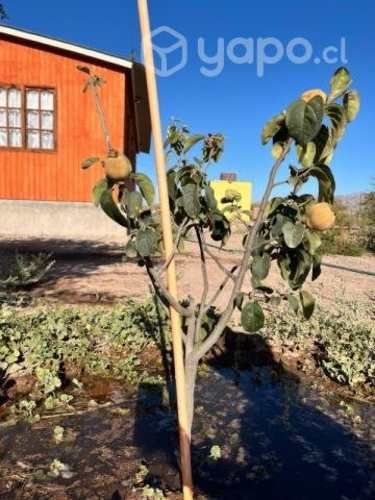 Se vende parcela Valle Fertil