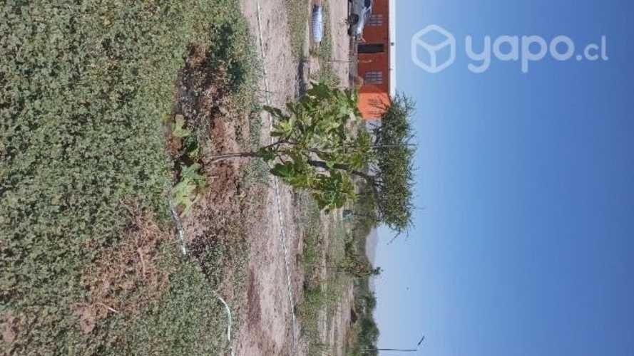 Se vende parcela Valle Fertil