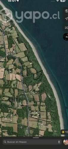 Remate 10000 m2  terreno.