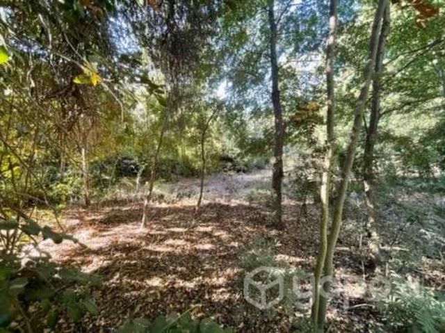 Vende Derechos Sitio Vilches 1000 M2 (San Clemente