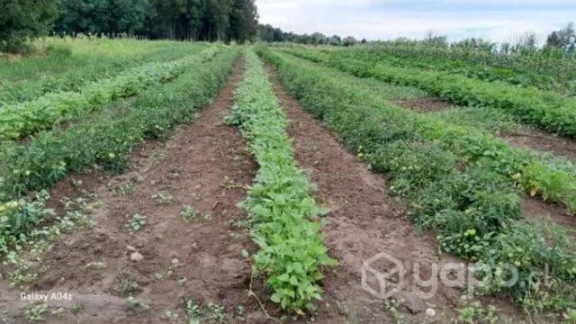 Oportunidad única, espectacular parcela