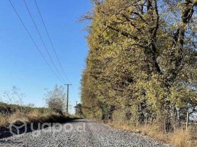Parcelas 5000M2 km 6,5 camino a Coihueco Chillán