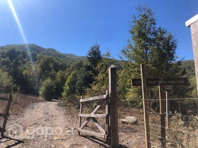 Venta de Terreno 20 Hectáreas Radal 7 tazas