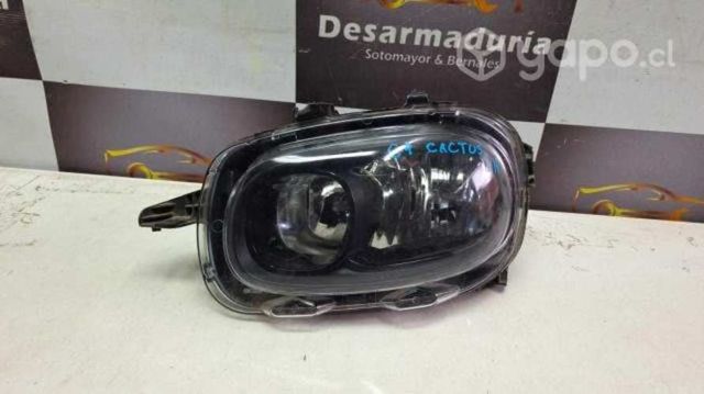 Optico C4 Cactus Lh 2.1