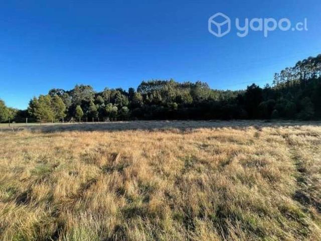 Parcelas sector Pancul, Los Lagos (648)