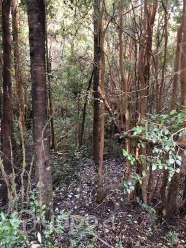 Parcela en lago tarahuin