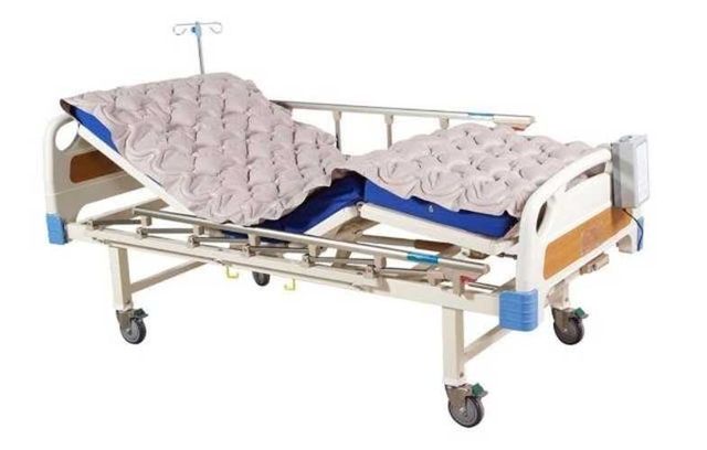 Cama Ortopédica