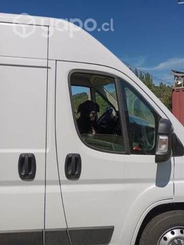 Bb furgón nuevo Fiat Ducato 2023