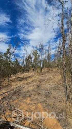 Vende amplia parcela en Cajon de Lebu