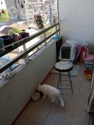 Dpto. 3 Dorm / 2 Baños/ 1 Bod / 1 Est