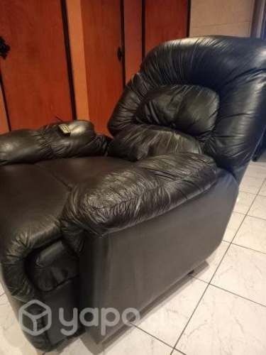 Berger Negro con Masajeador