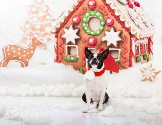 Acrílico transparente para piso Set fotográfico