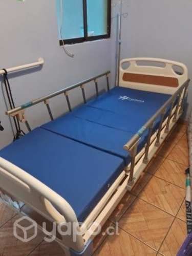 Cama clinica eléctrica precio conversable