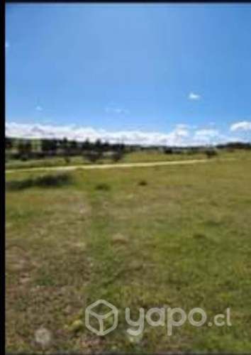 Vendo la mitad de mi hermosa parcela