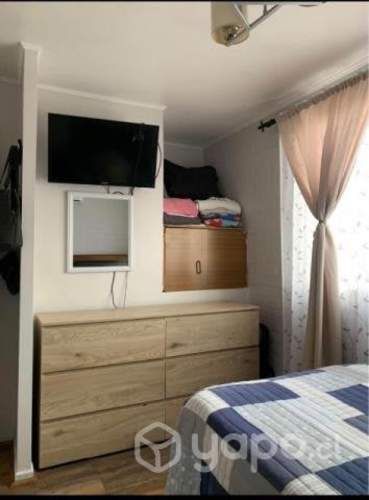 Bosques de San Francisco