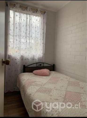 Bosques de San Francisco