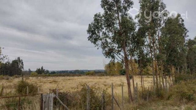 Vendo Parcela en Angol