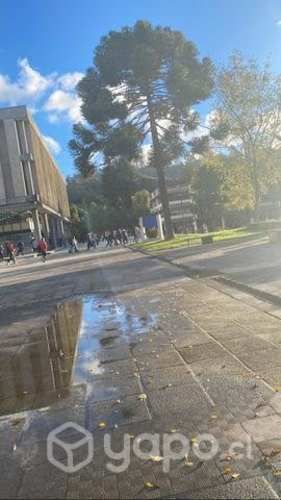 Busc minidepto de 1d 1b o monoambiente 2p