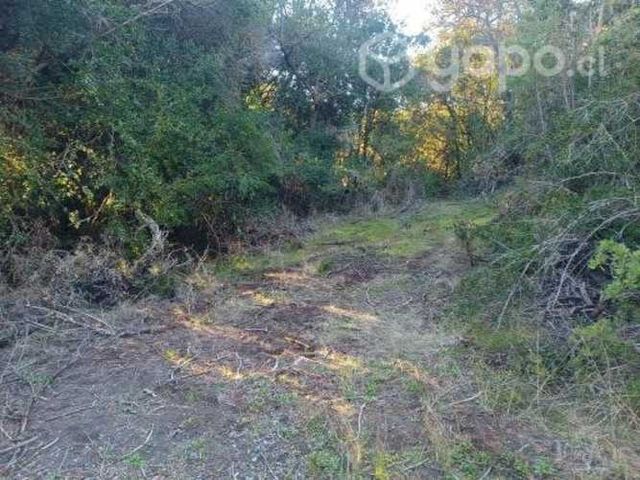 Vendo parcela 5000mts cuadrado