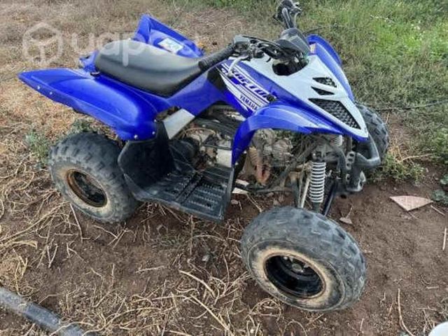 Yamaha raptor