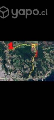 Parcela de 5000 mtrs