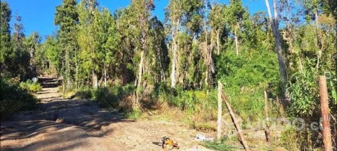 Parcela de 5000 mtrs