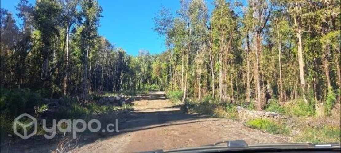 Parcela de 5000 mtrs