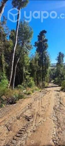 Parcela de 5000 mtrs