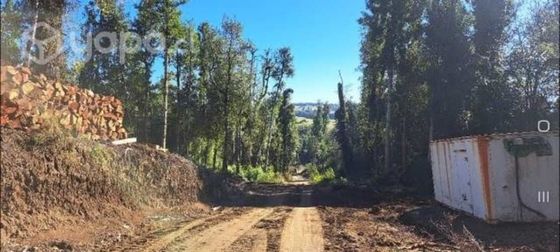 Parcela de 5000 mtrs