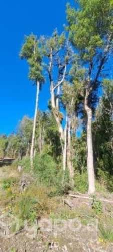 Parcela de 5000 mtrs