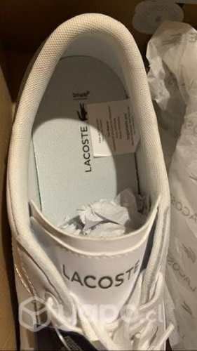 Original zapatillas lacoste embalada