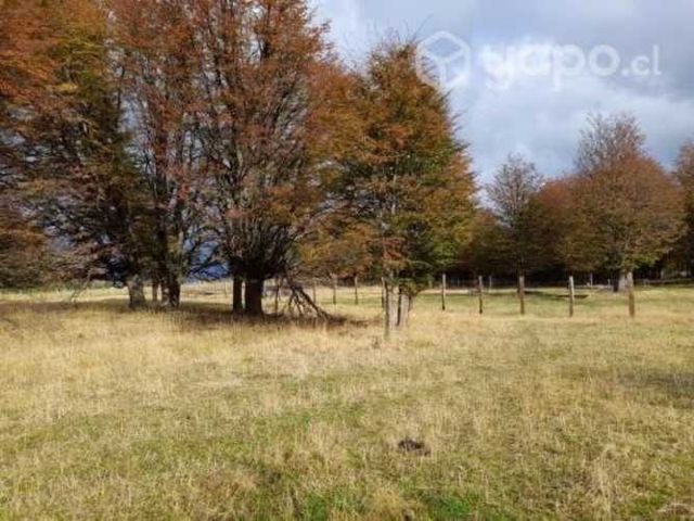 Parcela 5000metros2 en la Patagonia