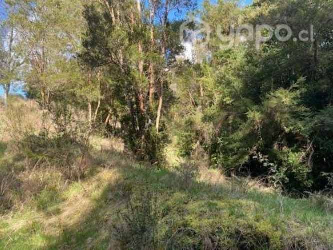 Linda Parcela condominio Los Arrayanes