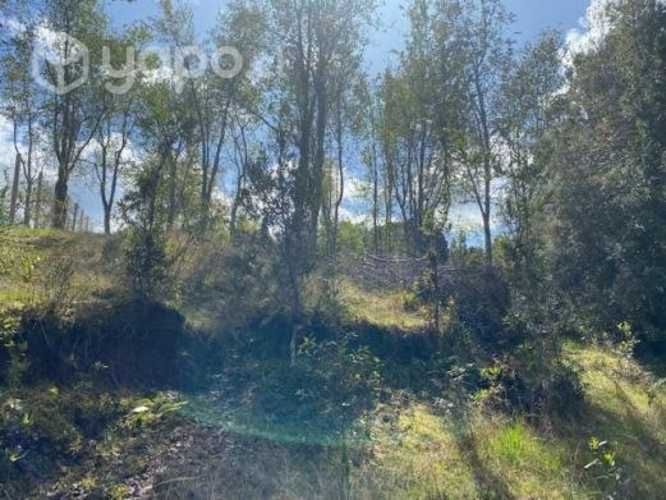 Linda Parcela condominio Los Arrayanes